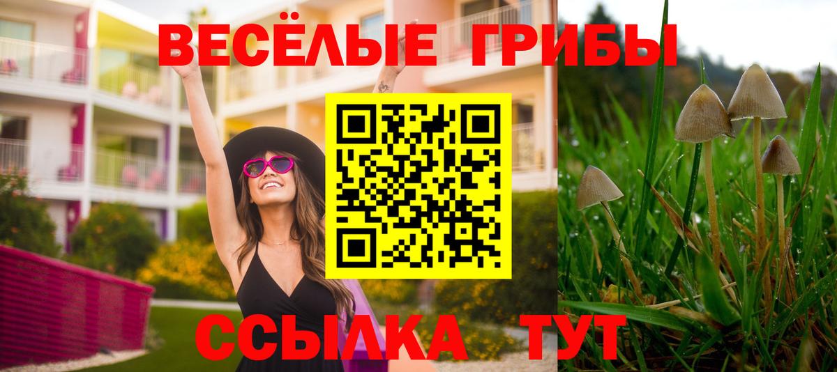 МЕТАДОН Омск