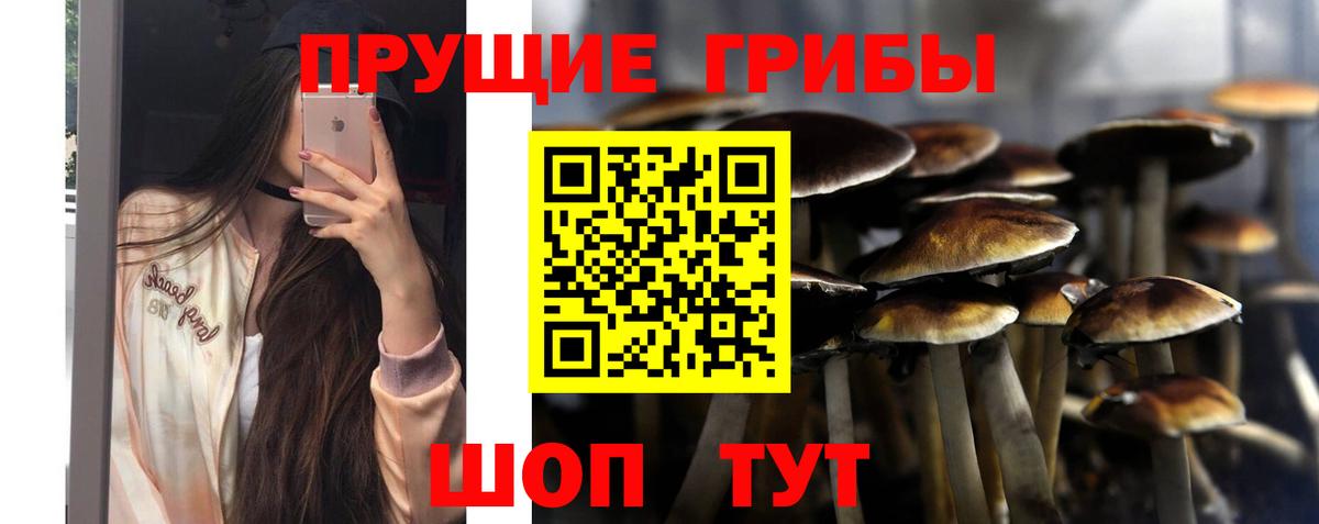 Псилоцибиновые грибы Cubensis  Вход с VPN  Омск 